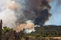 Southern Chile has been hit by devastating wildfires