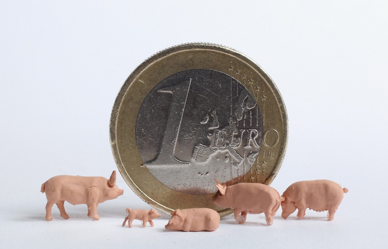 Maiali di plastilina davanti a una moneta da un euro