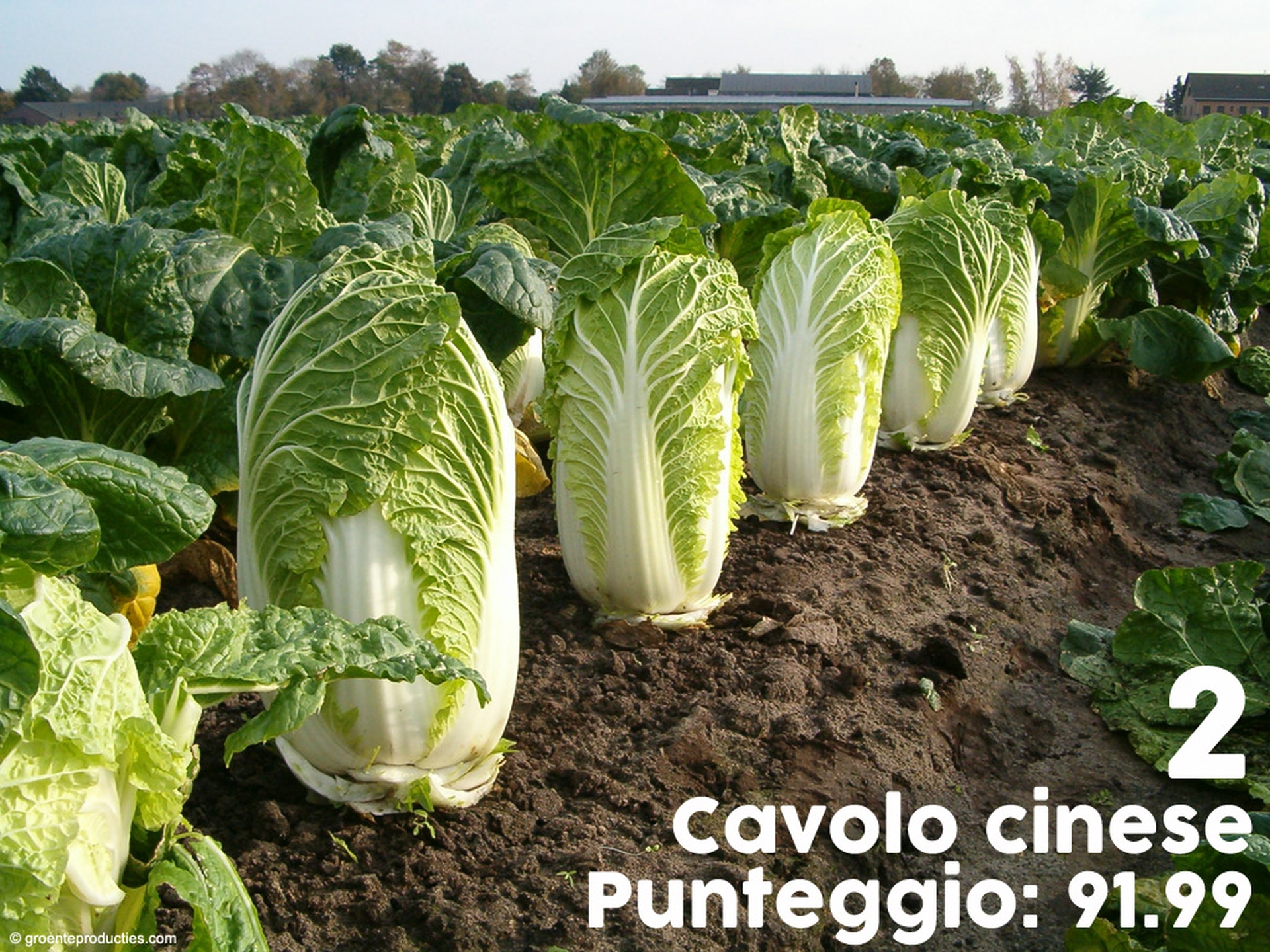 frutti-e-verdure-supernutrienti-2