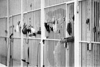 Il drammatico stato delle carceri italiane fotografato dal nuovo rapporto di Antigone