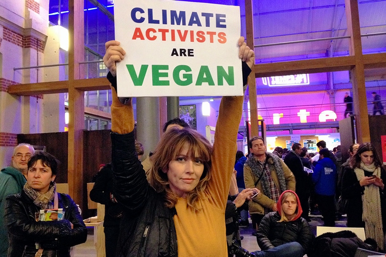 loredana cannata, cop21