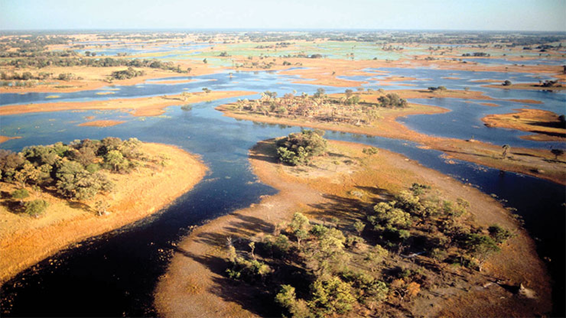 okavango8