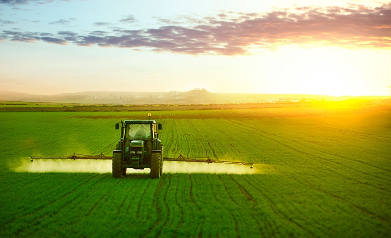 La Commissione europea vuole ripristinare l’80 per cento degli ecosistemi danneggiati e dimezzare l’uso di pesticidi