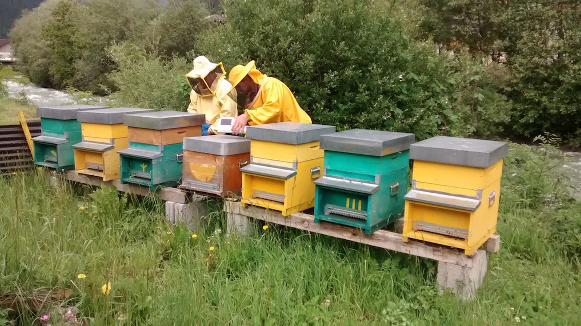 Biomonitoraggio Melixa a Ossana