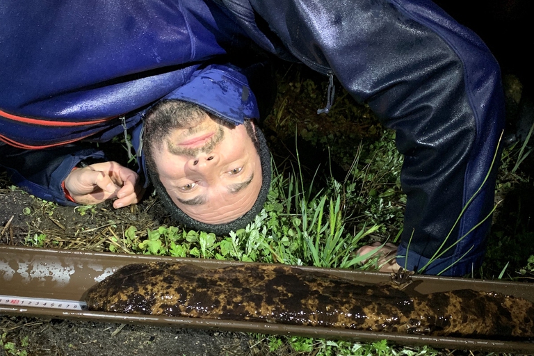 Richard Pearce con una salamandra gigante giapponese