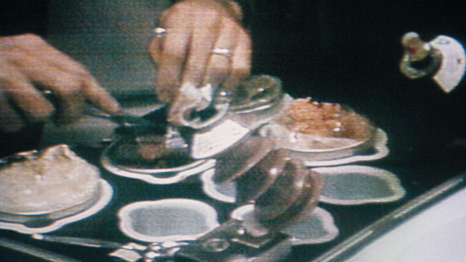 Cibo nello spazio. Dai cubetti dell'Apollo 13 ai legumi Slow Food di Samantha Cristoforetti