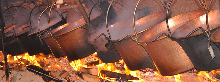 carnevale di santhia