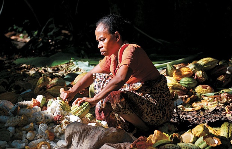 lavorazione del cacao in Madagascar