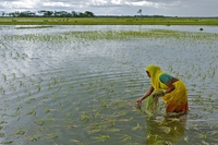 La crisi climatica colpisce di più le donne e le famiglie povere