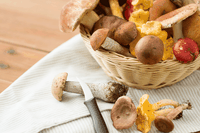 10 ricette per ingolosire con i funghi