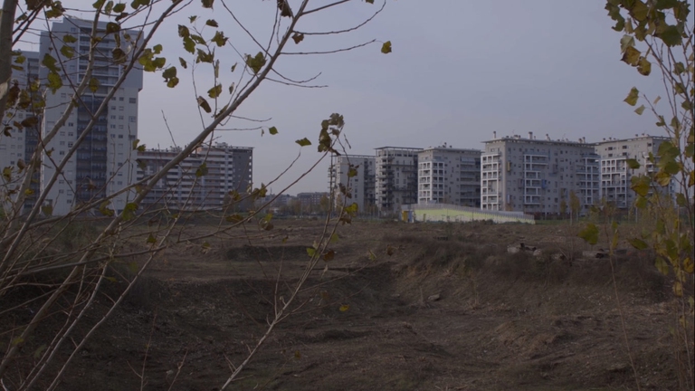 Spectrum apr, Beatrice Surano