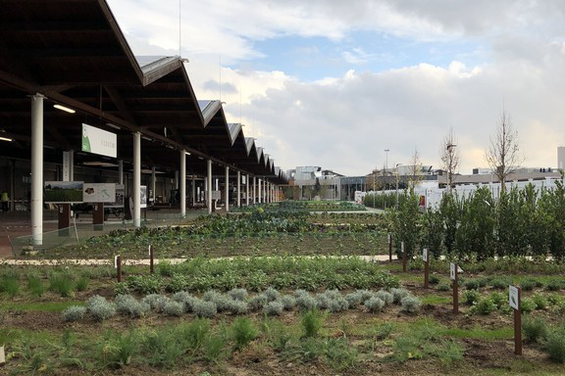 Eataly World in Bologna, photos from the Italian food theme park that