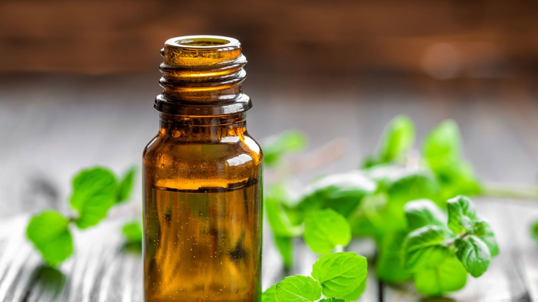 olio-essenziale-menta-piper