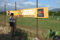 “La nostra terra”, una storia di legalità e speranza