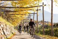 Alleanza per la mobilità dolce: dalle ciclovie ai sentieri, sette idee per la ripartenza