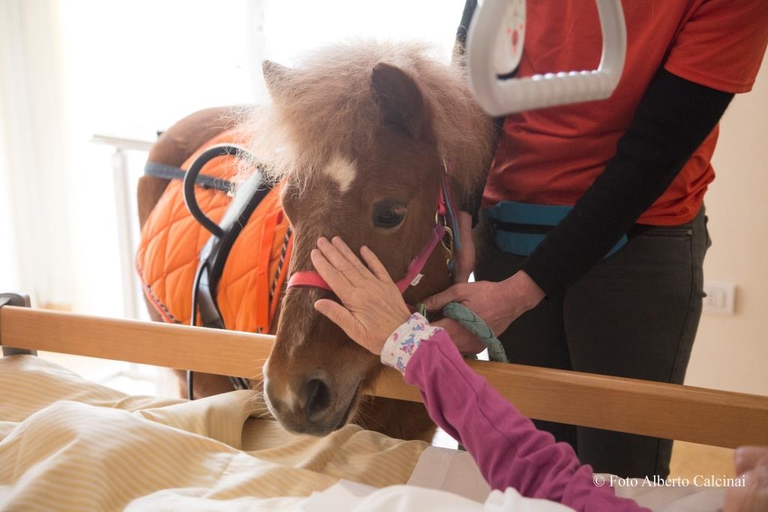 La new entry della pet therapy nell'hospice Casa Vidas è Trilly, un pony © Alberto Calcinai/Vidas