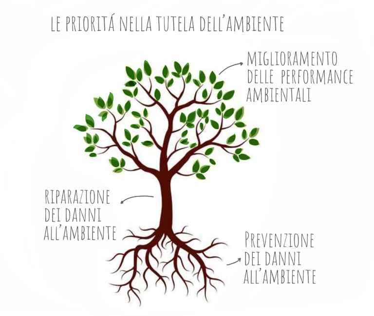 Pool Ambiente, tutela ambientale