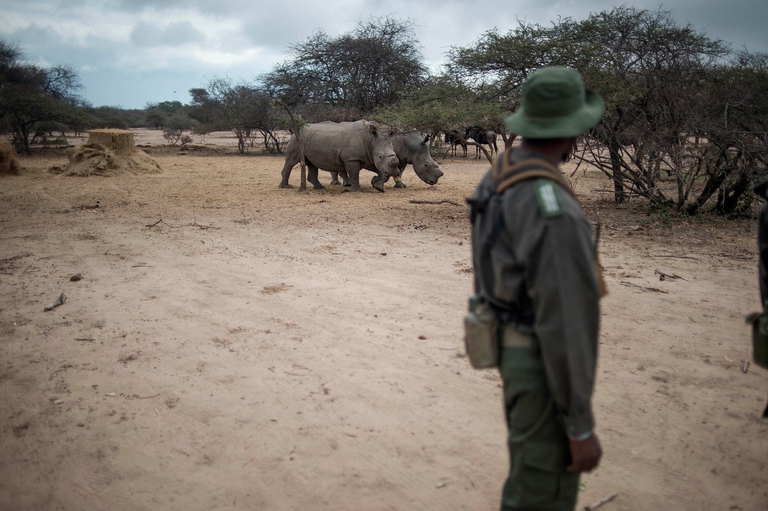 Pattuglia anti bracconaggio