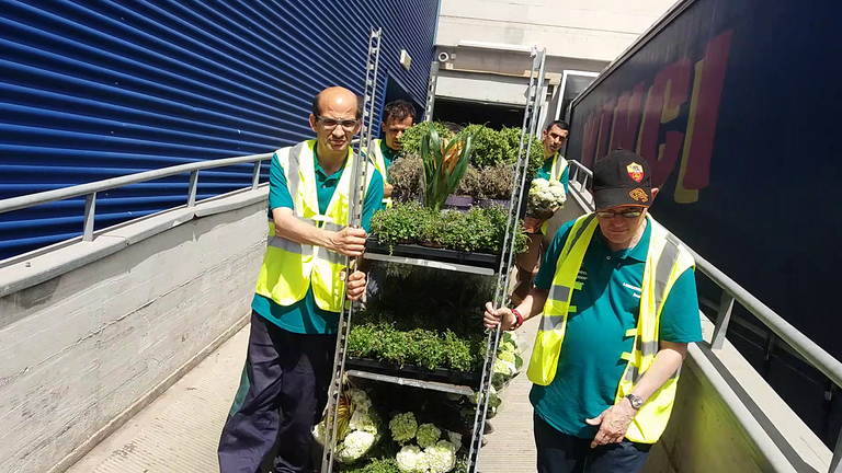 carrello piante Ikea a il Chicco