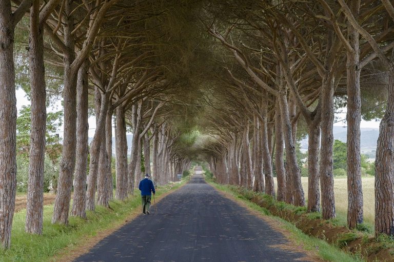 Anziano che passeggia