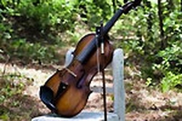 5 canzoni per il 5 giugno, la Giornata mondiale dell’ambiente