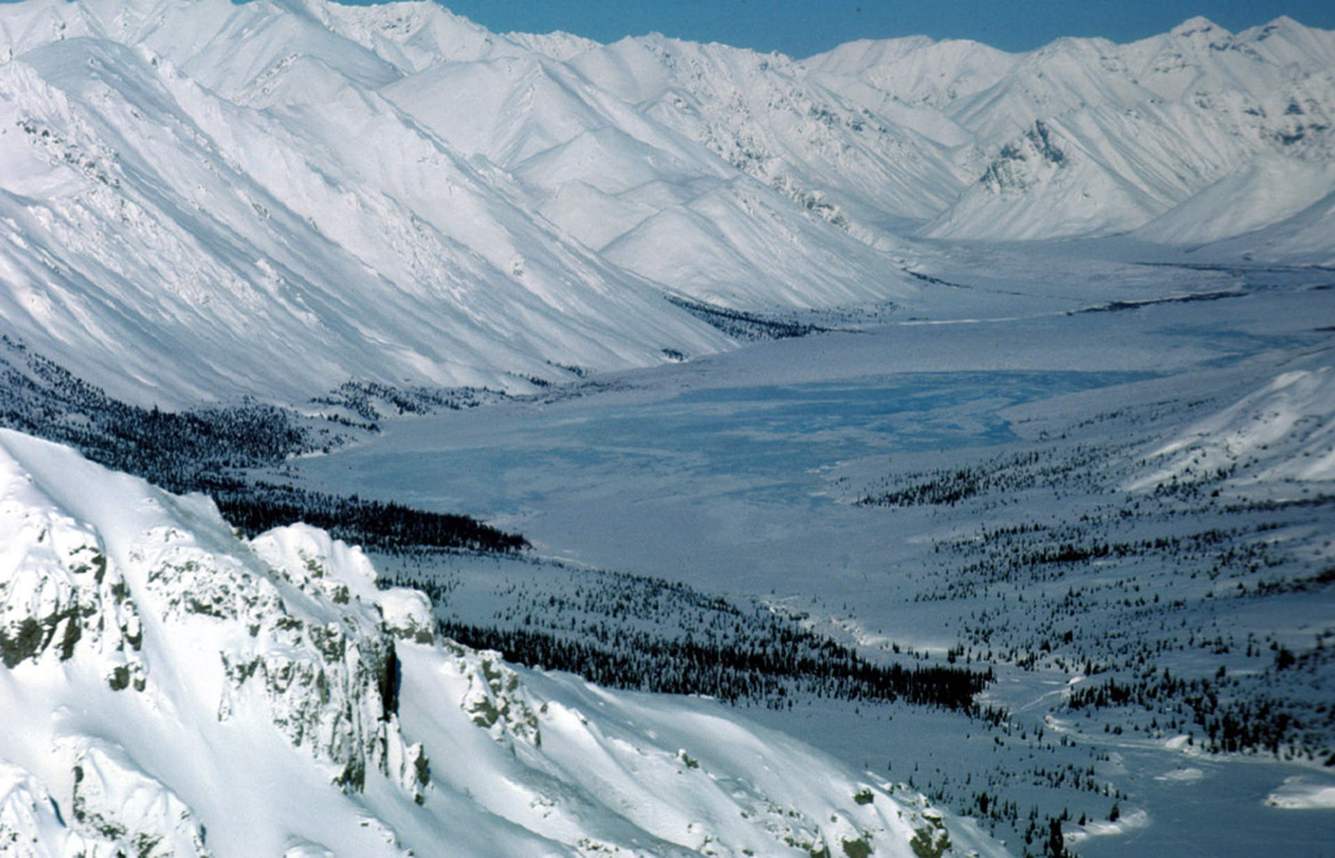 Arctic national wildlife refuge