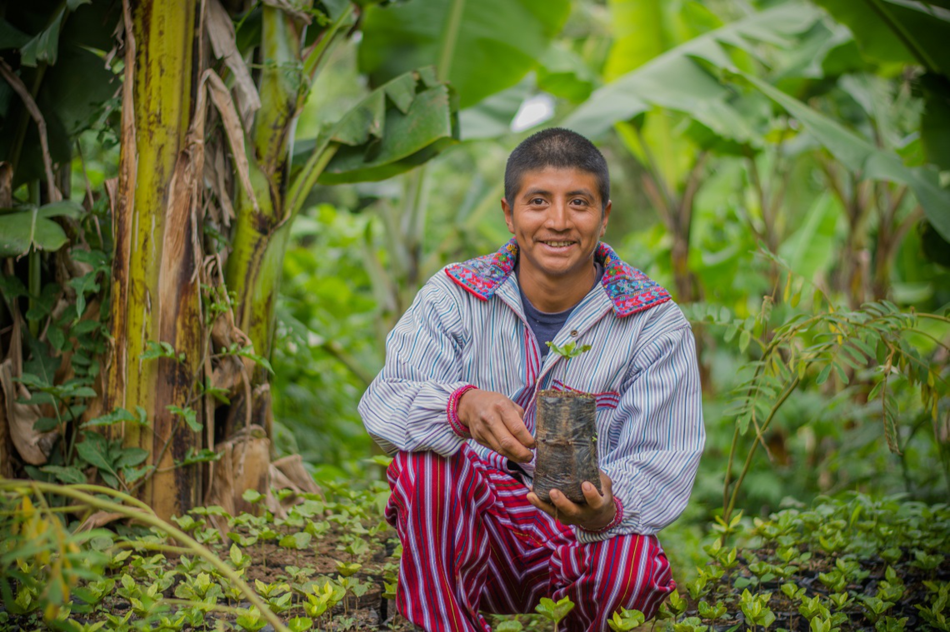 Byron Jerónimo con una piantina di caffè in mano