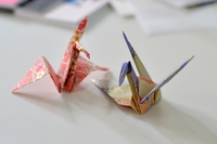 L’arte dell’origami