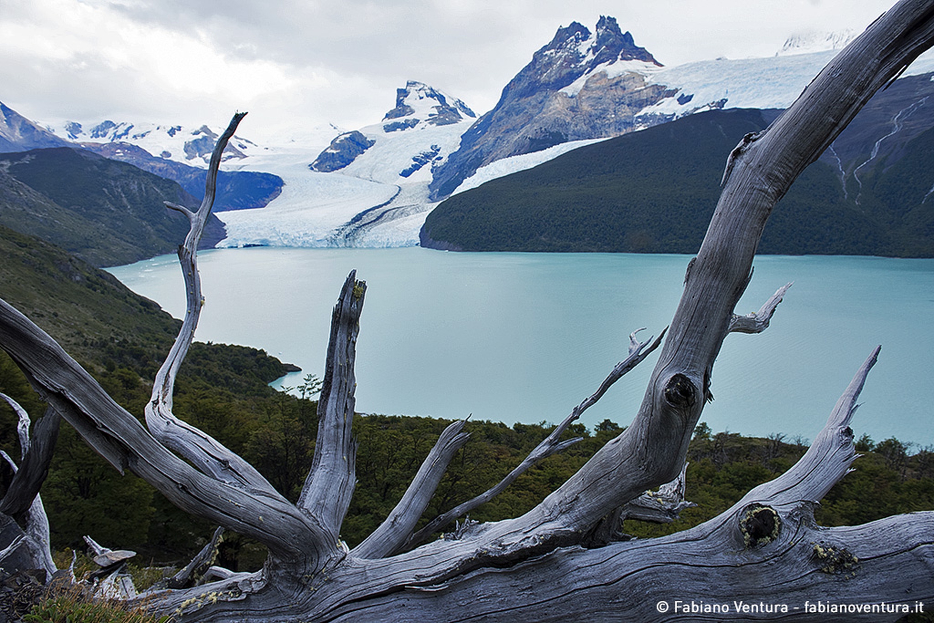 On the Trails of the Glaciers, Argentina