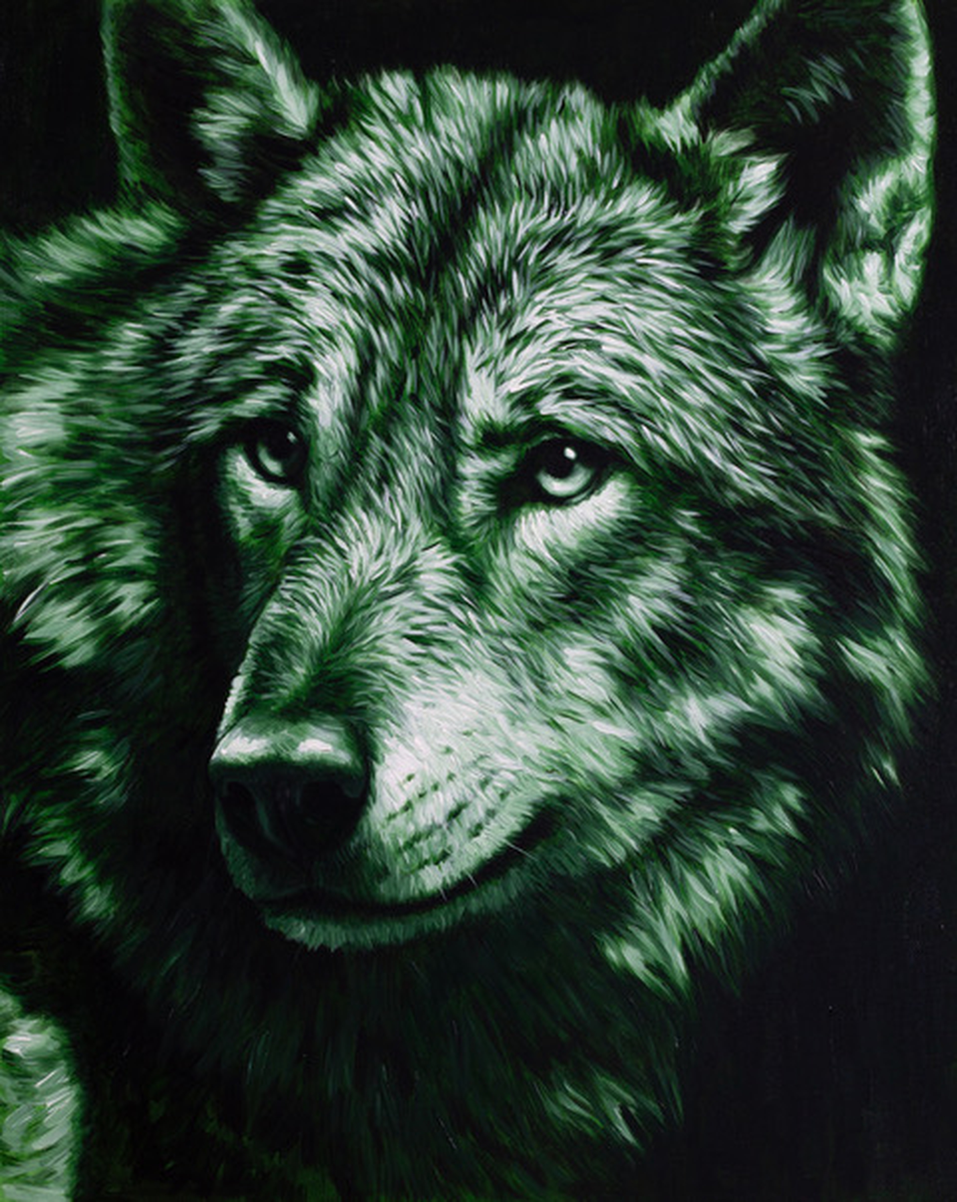 Marco Grasso Dark Forest 2023