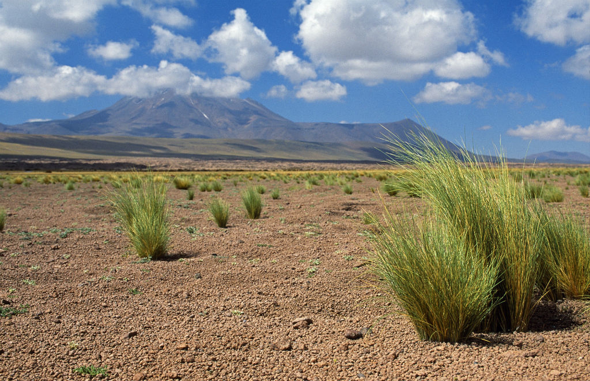 Deserto Atacama