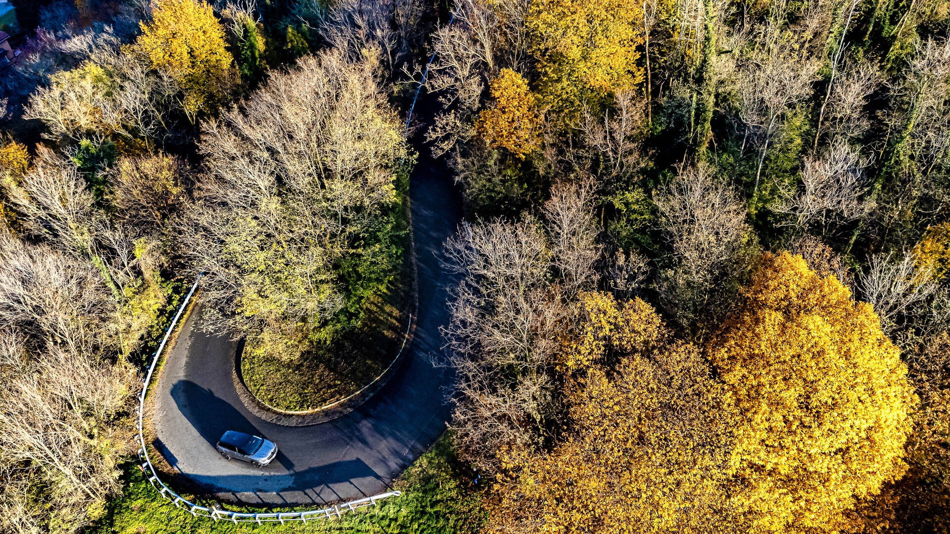 Renault AUSTRAL 0182