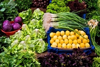 Diritto al cibo, gli esempi virtuosi e le sfide della Rete europea delle città bio