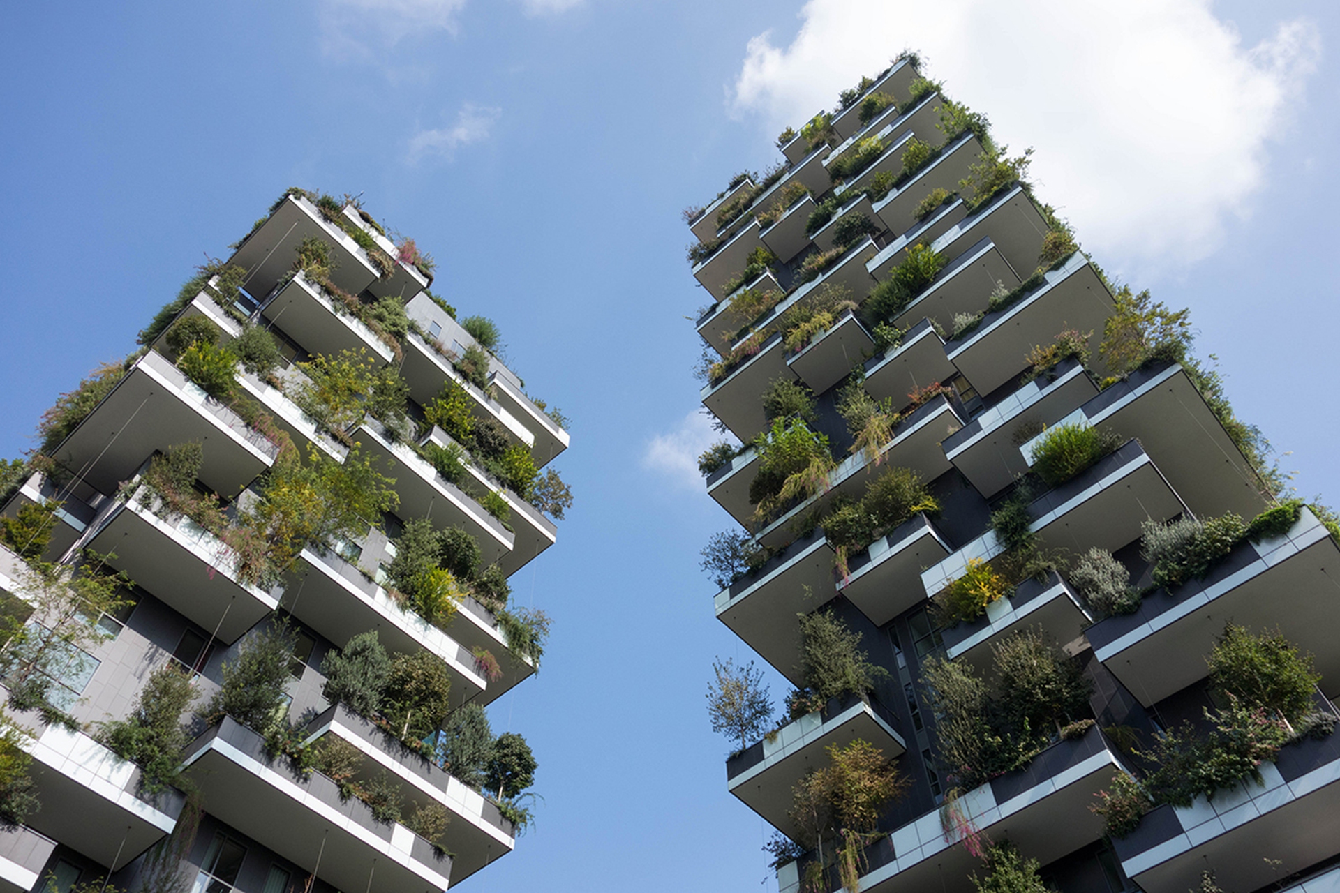 The Bosco Verticale