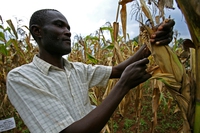 The drought in Zambia is causing starvation, a power crisis and threatening the Victoria Falls