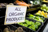 Denmark, objective 100% organic