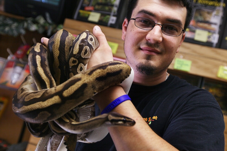 Animali esotici