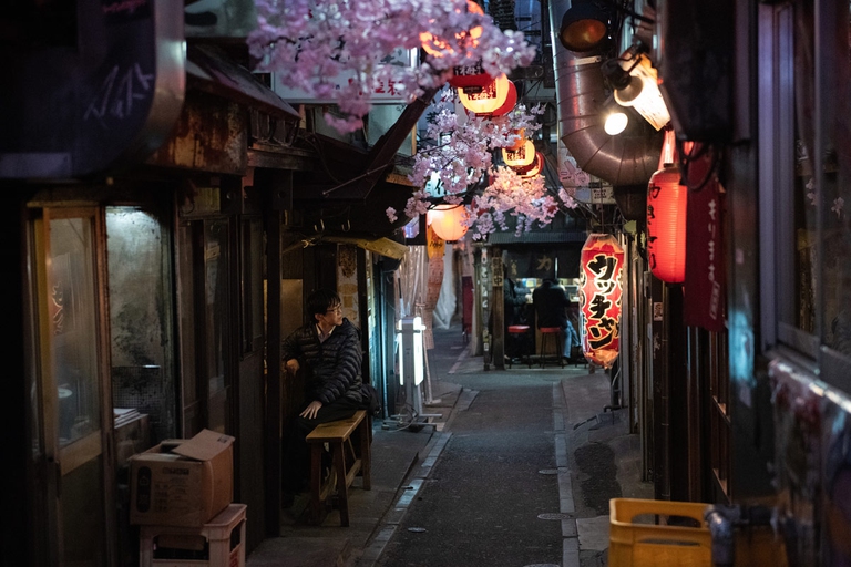 Ciliegi in fiore in Giappone