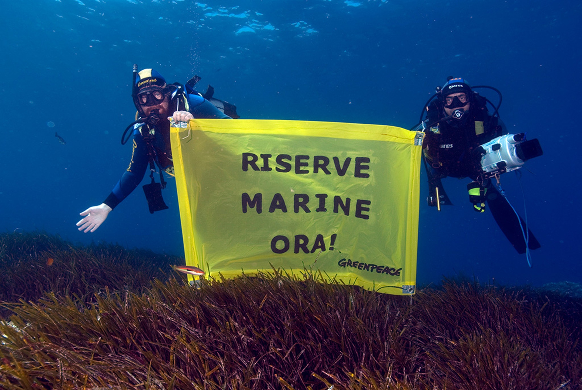 Greenpeace. I guerrieri dell'arcobaleno in Italia