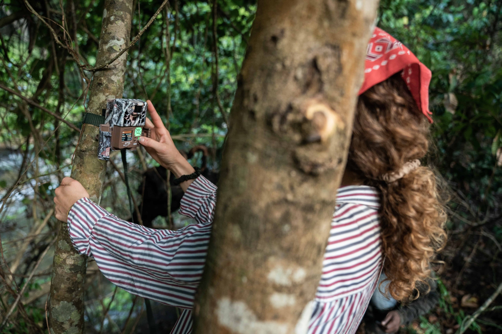 Il progetto di riforestazione Udzungwa corridor limited in Tanzania