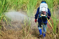 Glifosato in Europa, la Commissione verso l’autorizzazione per 9 anni