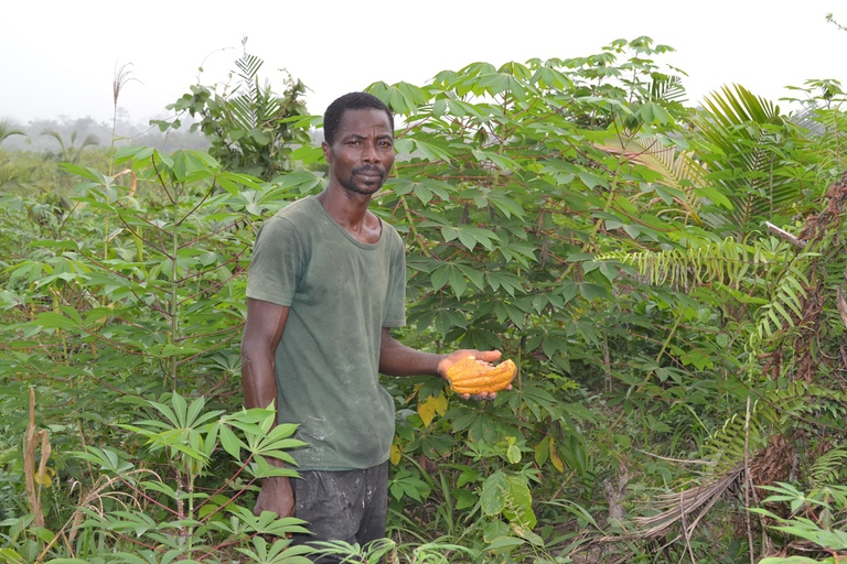 Agricoltore nella sua piantagione di cacao in Ghana