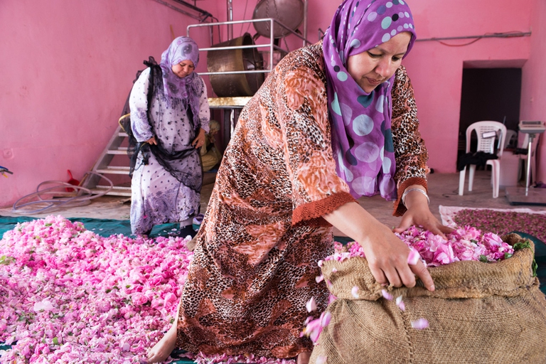 valley of roses morocco women empowerment