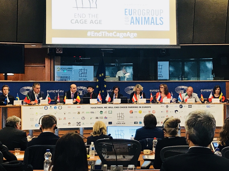 Lancio dell’iniziativa End the cage age