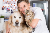 Donne veterinarie, è nata un’associazione per difenderne i diritti