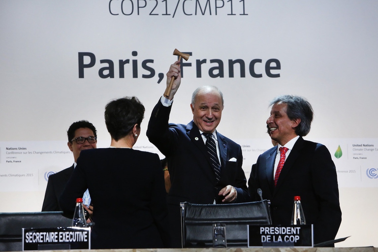 Cop 21 Fabius
