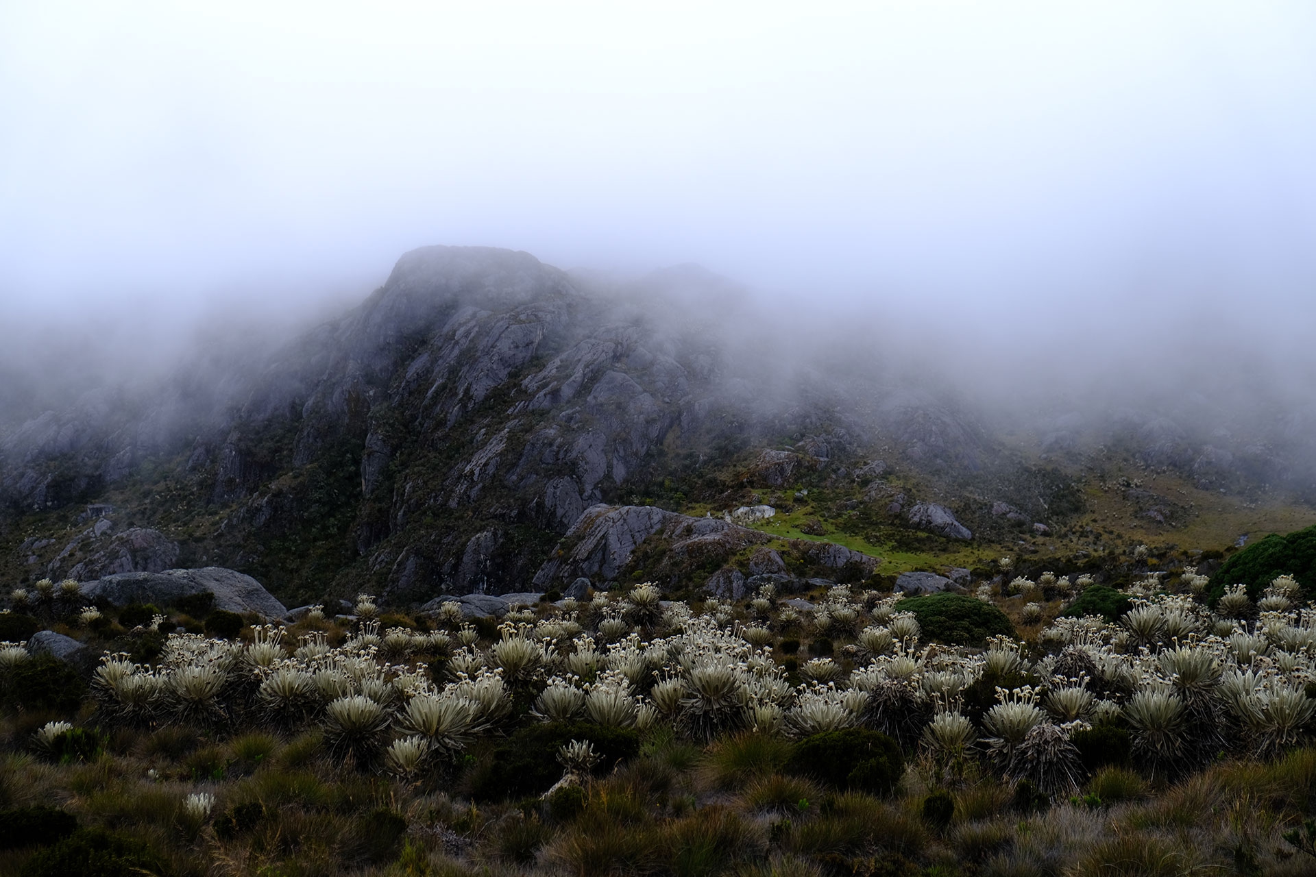 Wasteland of páramo of Santurbán