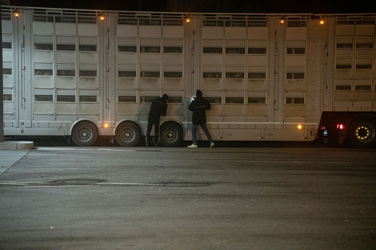 camion trasporto agnelli