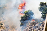 Incendi in Sicilia, i Nebrodi tra le aree più colpite