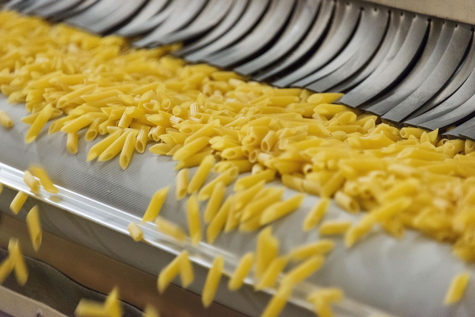 Il biologico: la natura prima di tutto